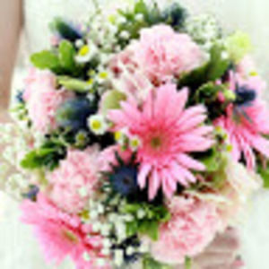 Meet your Posher, Caitlin